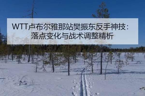 WTT卢布尔雅那站樊振东反手神技：落点变化与战术调整精析